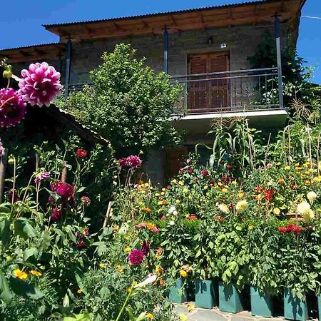 Guesthouse Gouris Цепелово Екстериор снимка