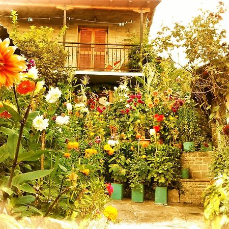 Guesthouse Gouris Цепелово Екстериор снимка