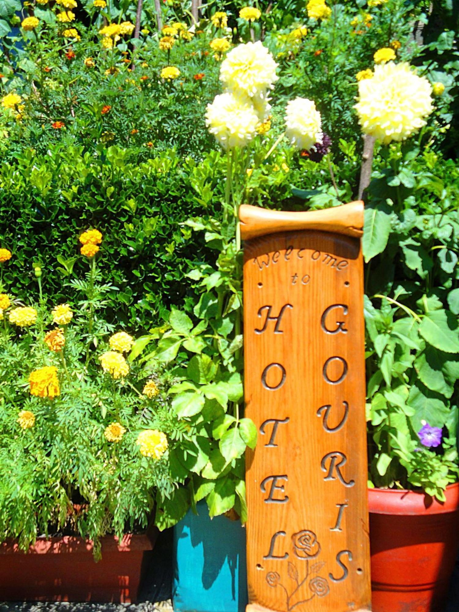 Guesthouse Gouris Цепелово Екстериор снимка