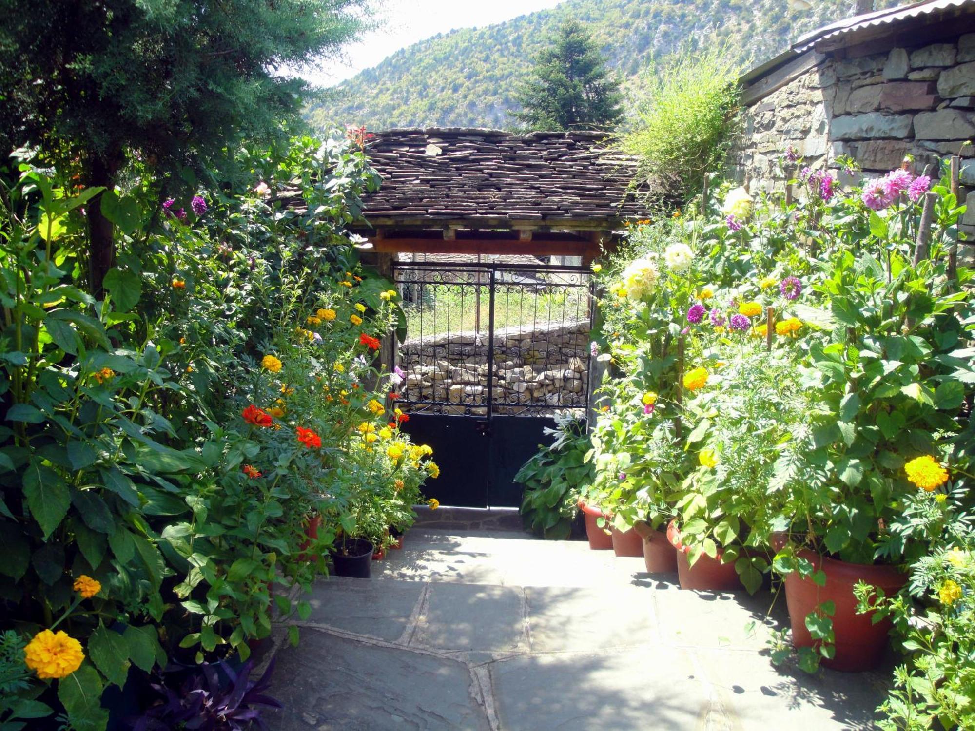 Guesthouse Gouris Цепелово Екстериор снимка