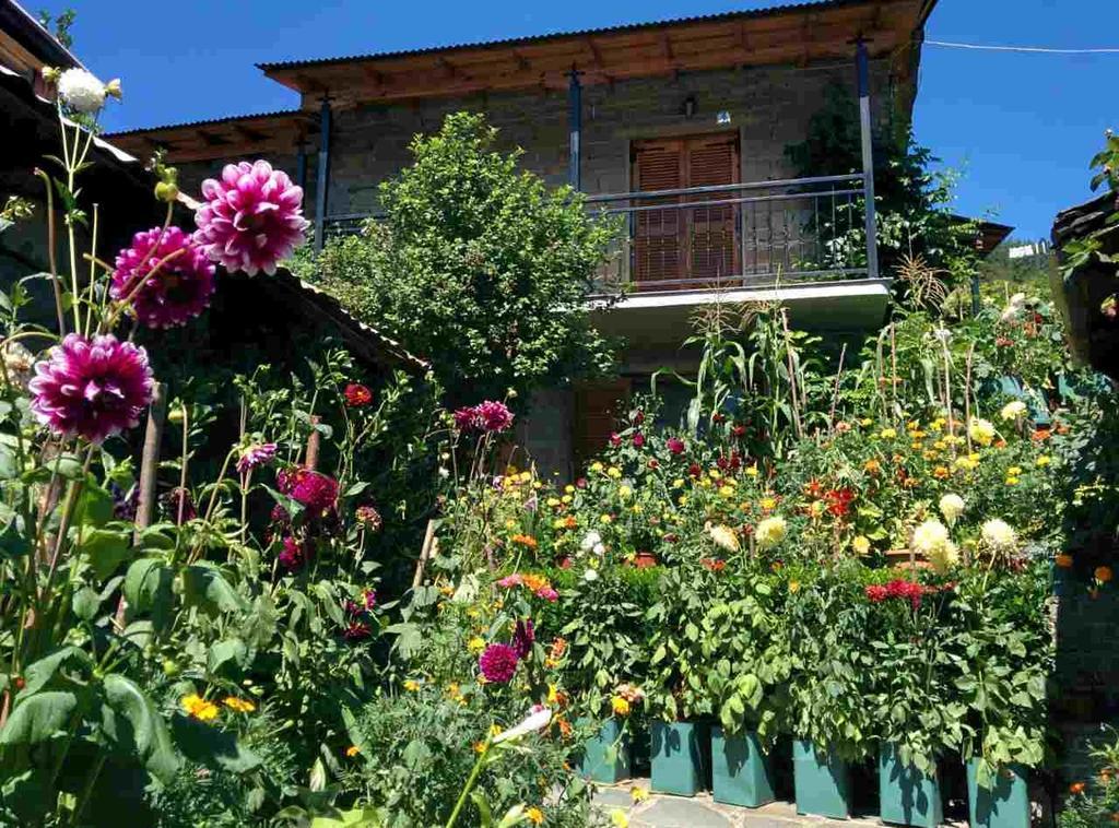 Guesthouse Gouris Цепелово Екстериор снимка