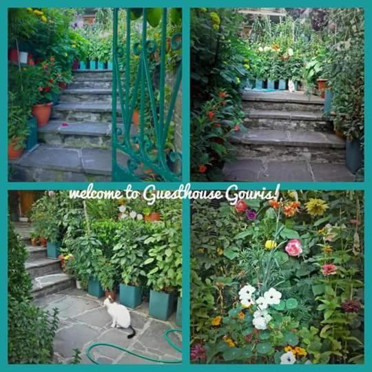 Guesthouse Gouris Цепелово Екстериор снимка