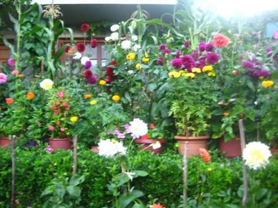 Guesthouse Gouris Цепелово Екстериор снимка